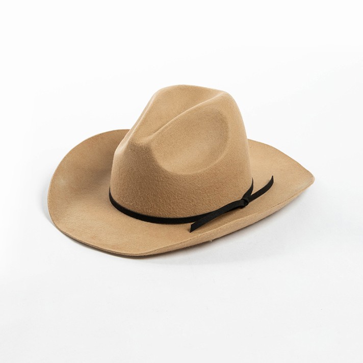 Autumn rolled-up comfortable wool felt hat